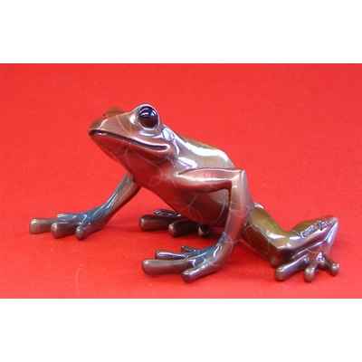 Video Figurine Grenouille - Fabulous Forest Frogs - Grenouille - WU710355